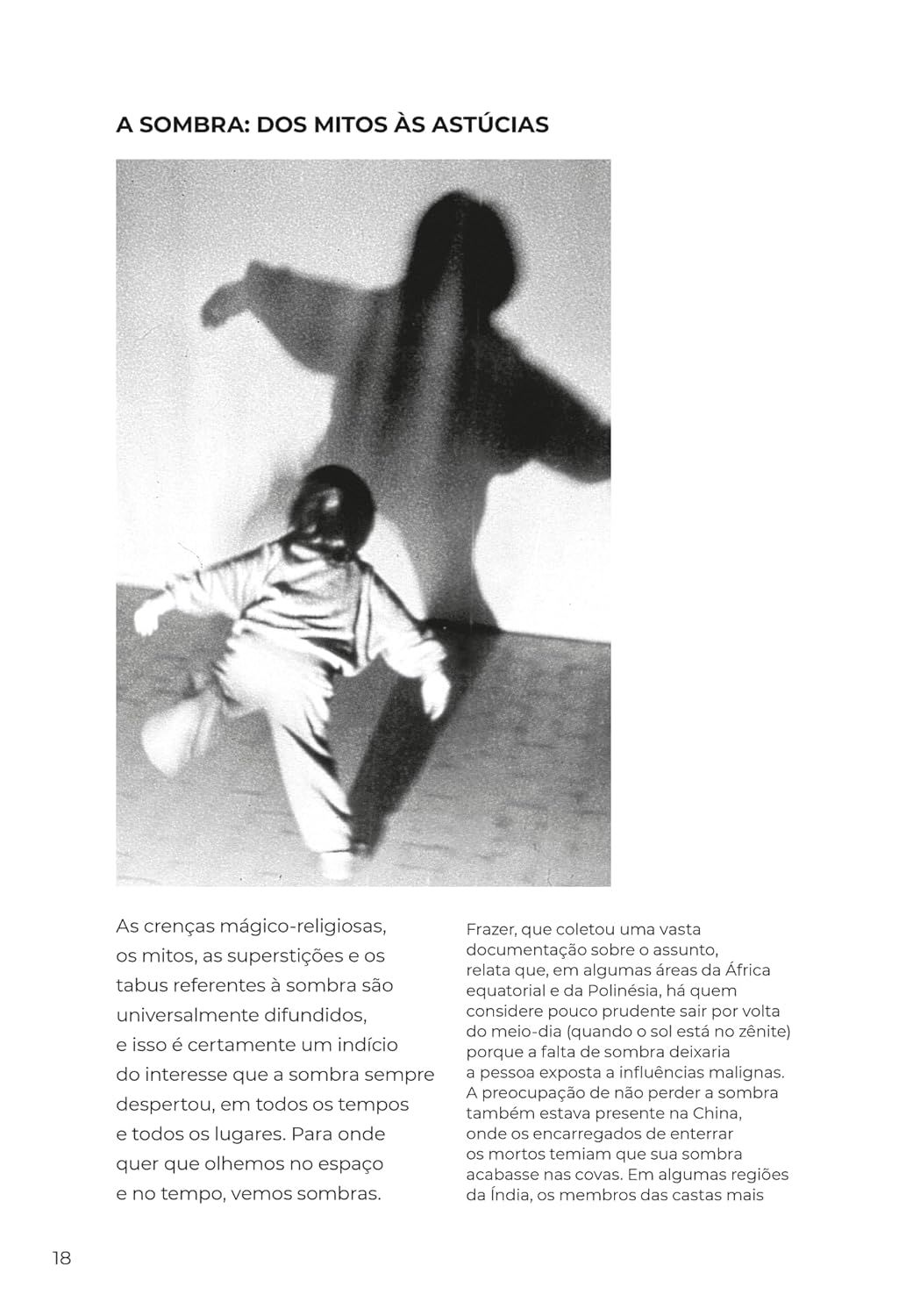 Tudo Tem Sombra, Menos as Formigas