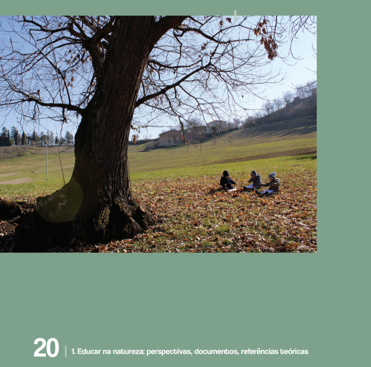Observar, projetar, educar na natureza