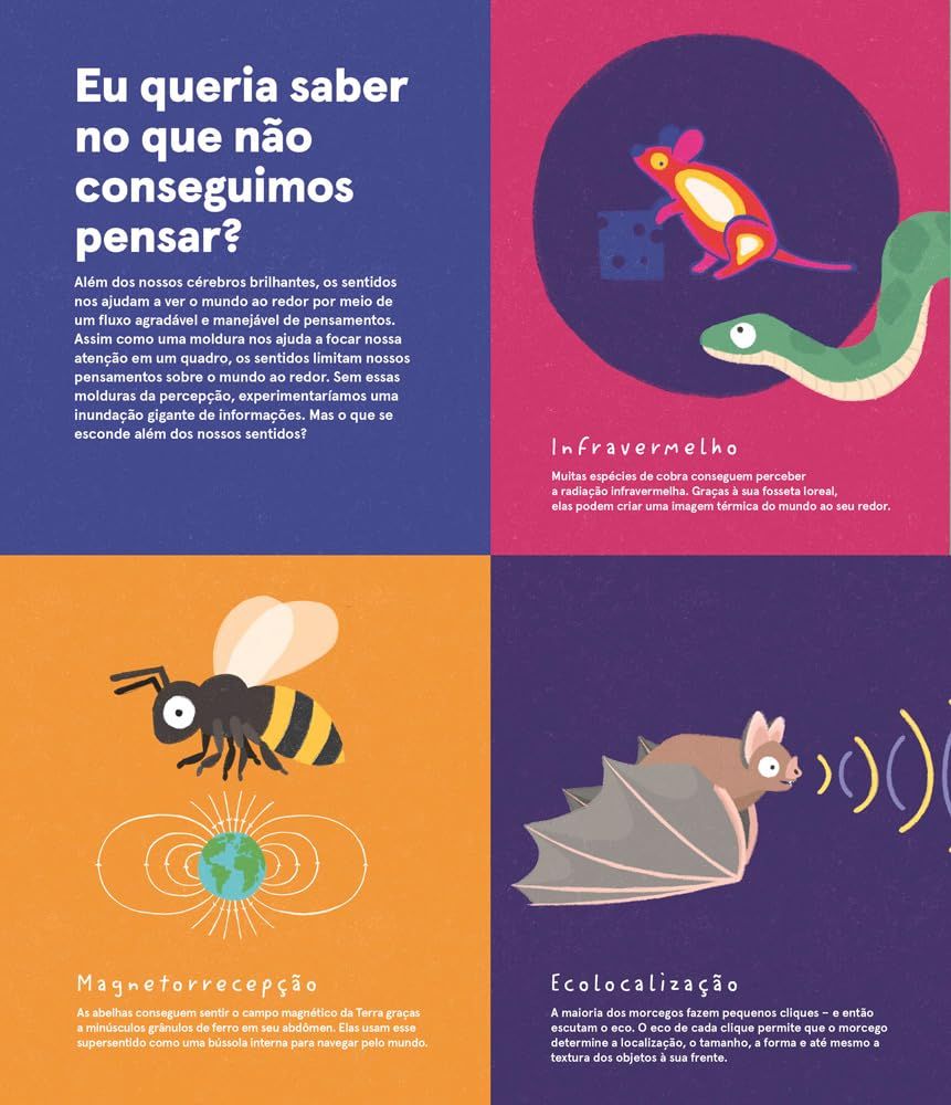 Eu queria saber: Um livro de perguntas sem respostas