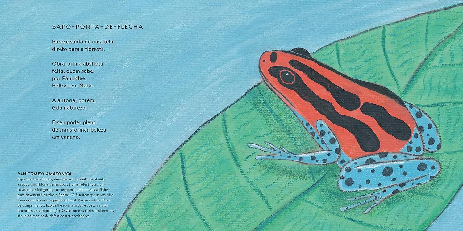 Brasileirinhos da Amazônia