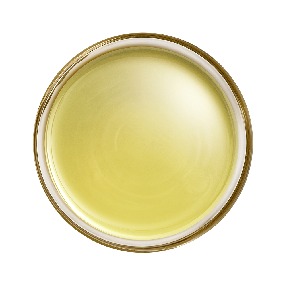 Chá Verde Despertar 40g Chá Verde Despertar 40g