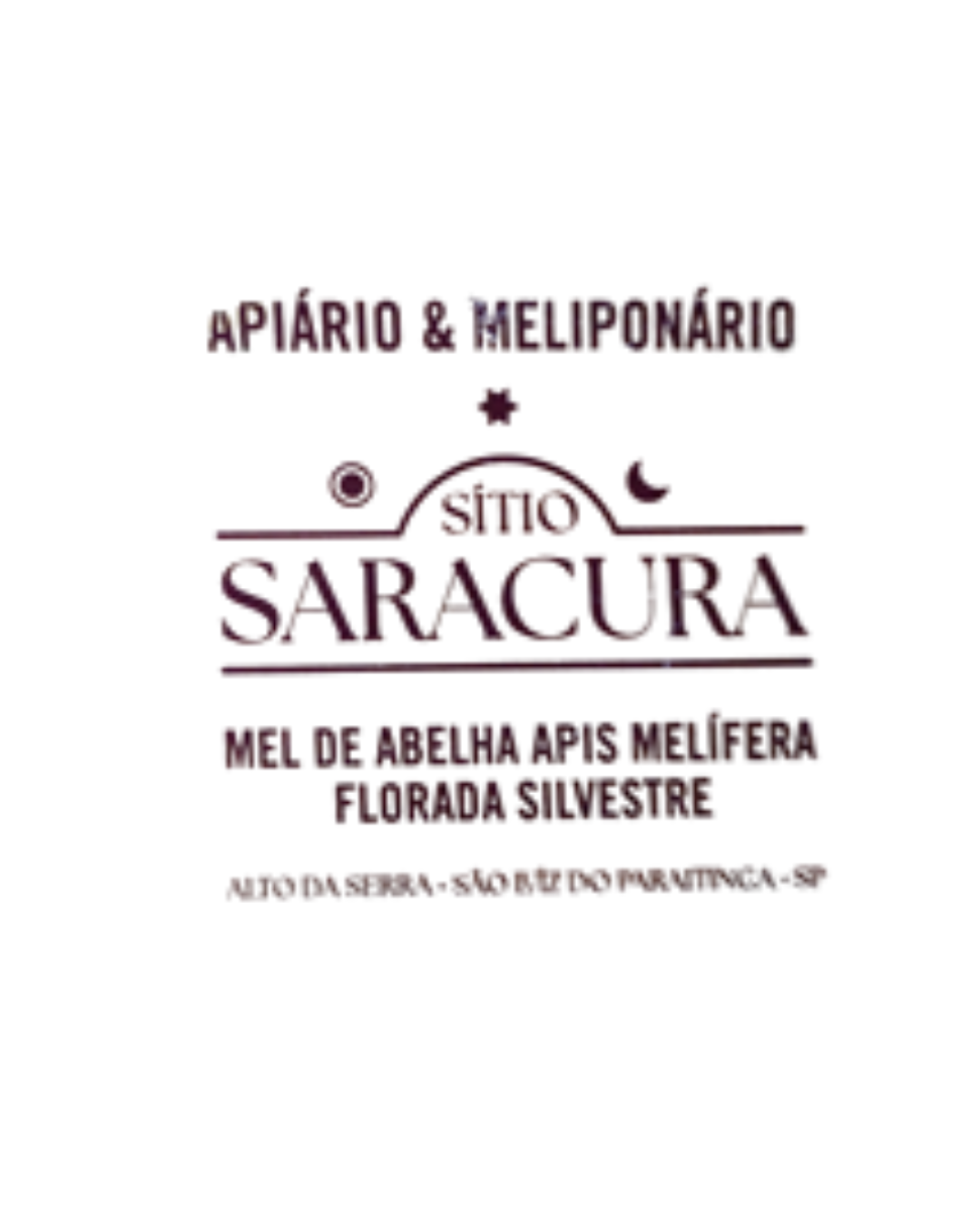 Logomarca de API&Aacute;RIO DA SARACURA