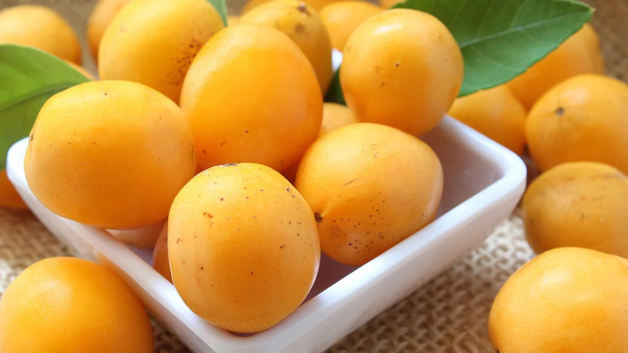 Cajá - 10 Doses Congeladas