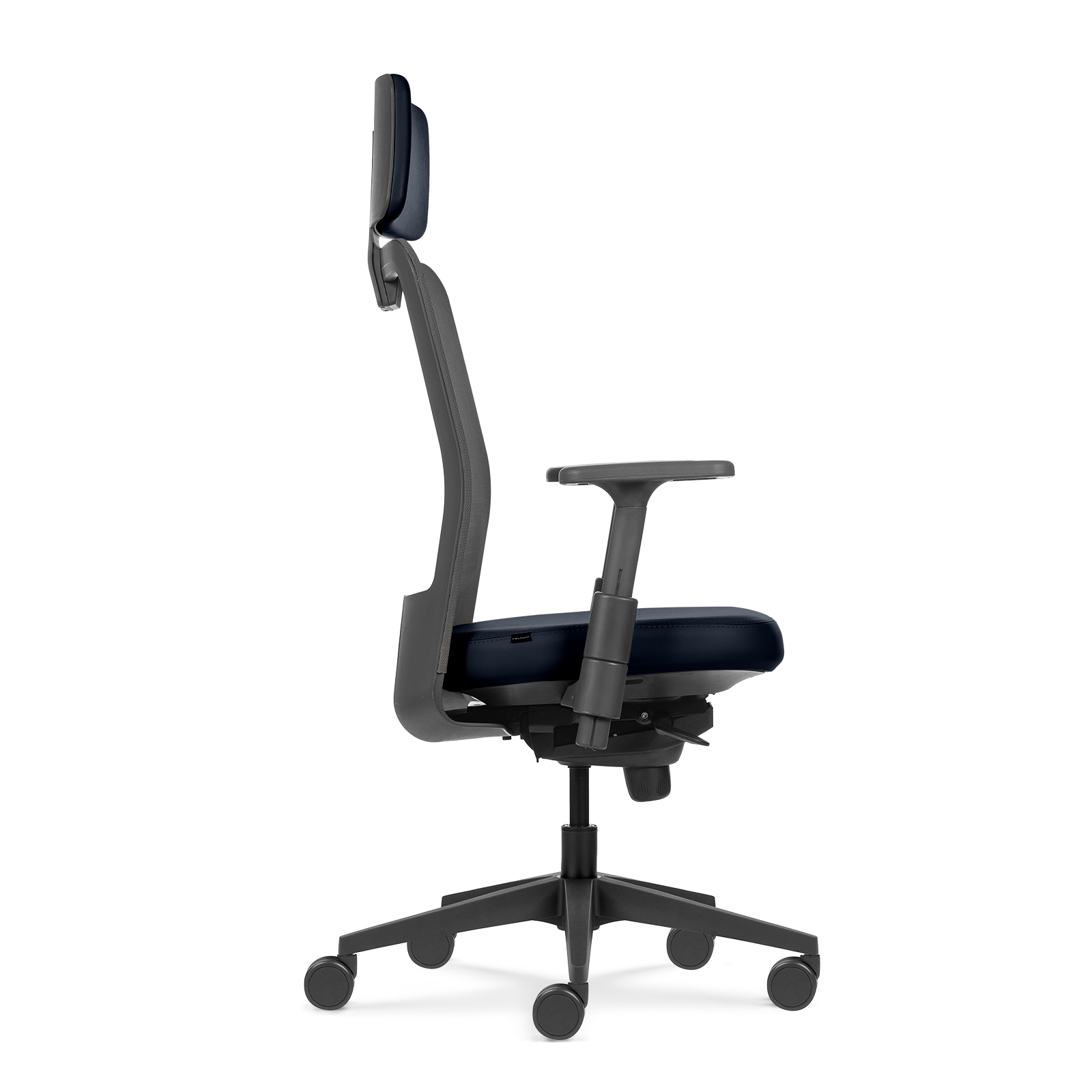 Cadeira Tecton HD Graphite N Blue