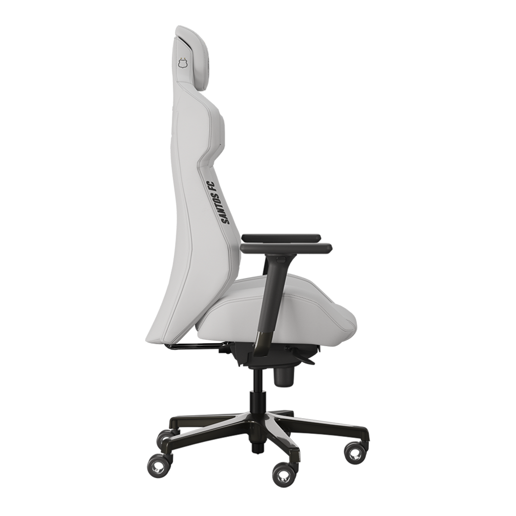 Cadeira Gamer Flexform Alpha Pro Santos