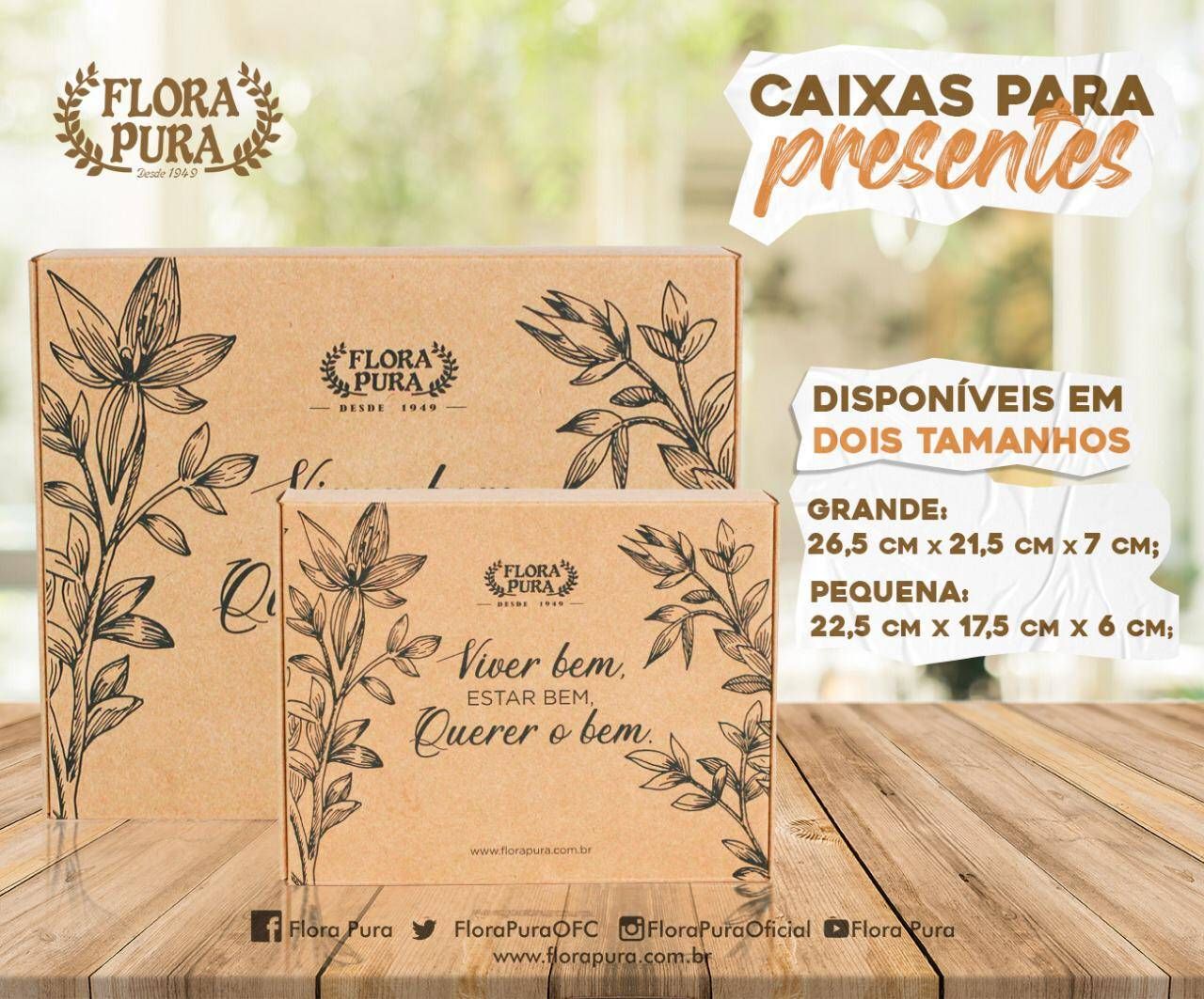 CAIXA DE PRESENTE GRANDE (VIVER BEM)