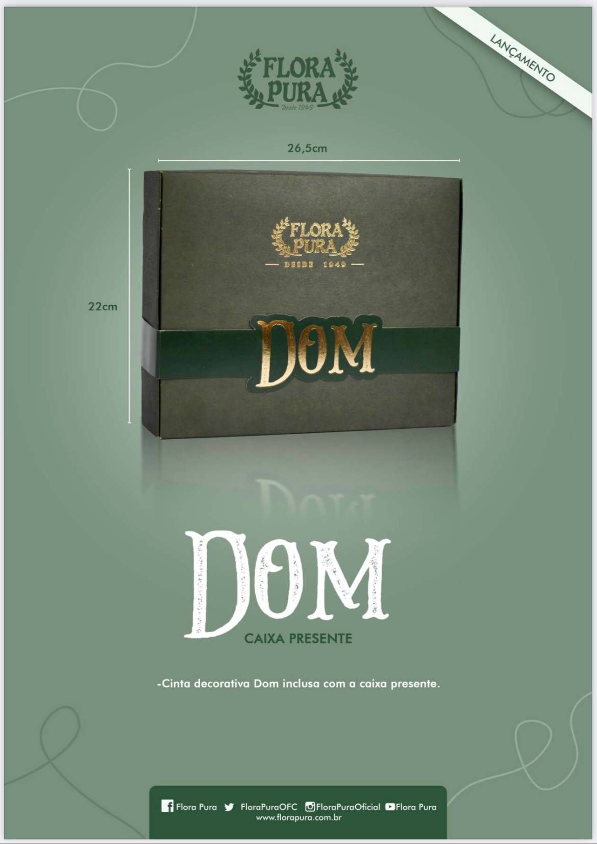 CAIXA DE PRESENTE ESPECIAL | DOM (VERDE)