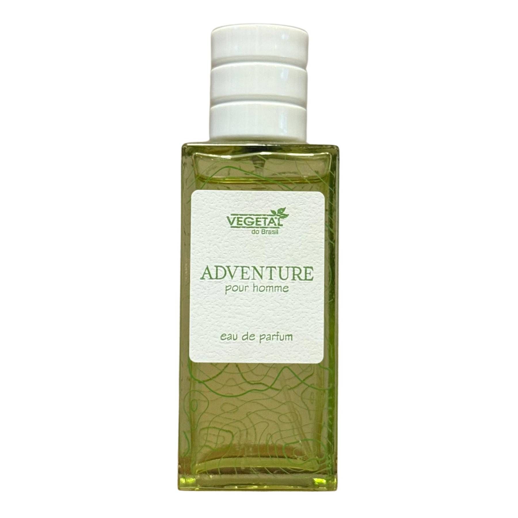 EAU DE PARFUM ADVENTURE POUR HOMME 100ML-VEGETAL DO BRASIL