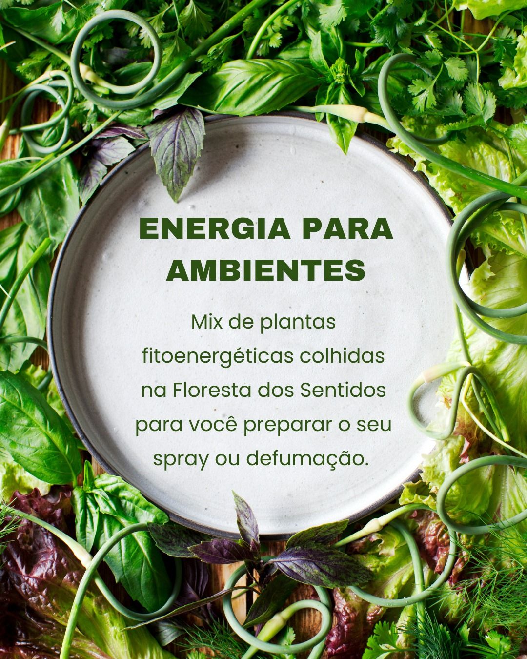 MIX ENERGIA PARA  AMBIENTES