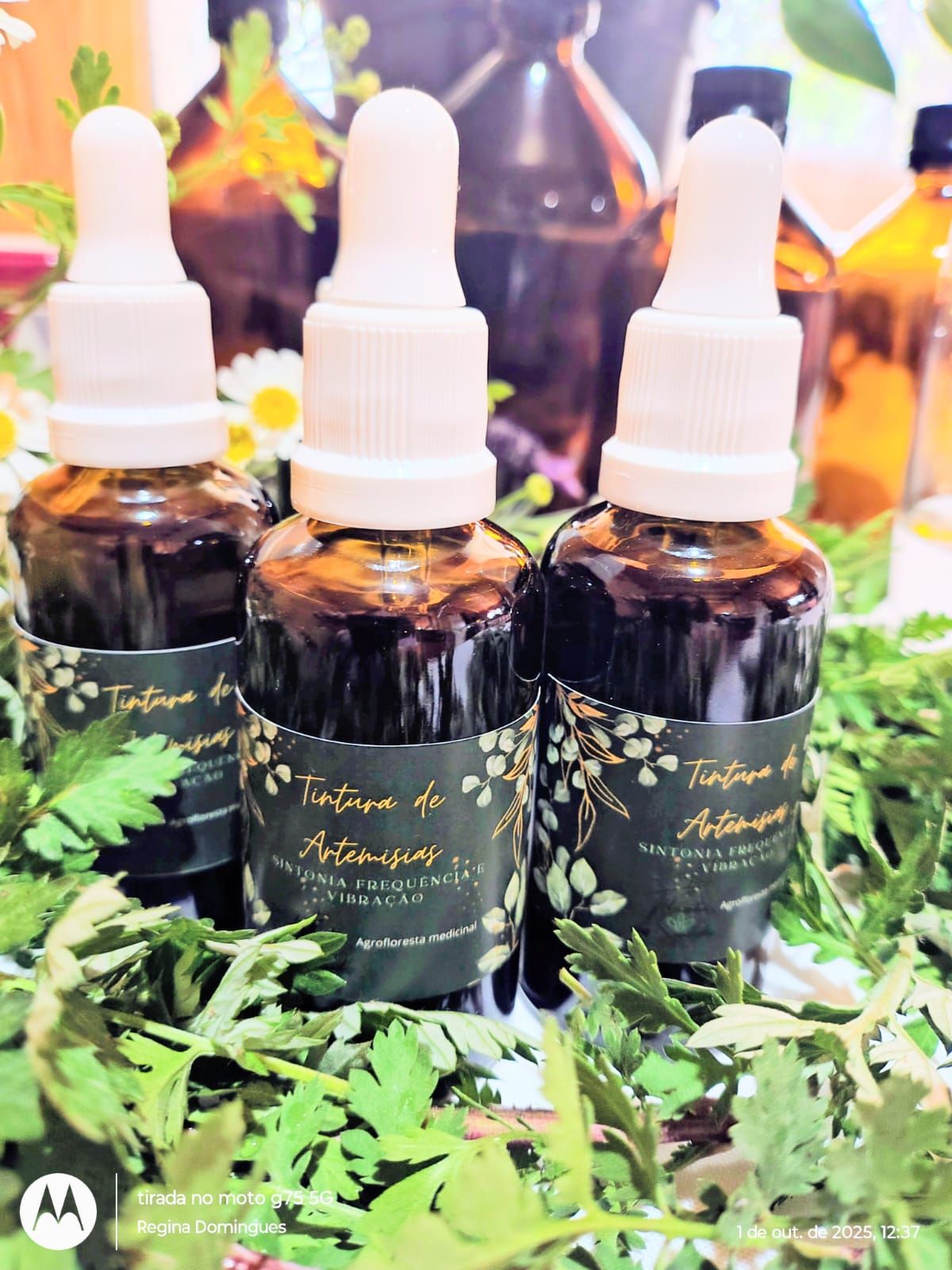 TINTURA DE ARTEMISIAS