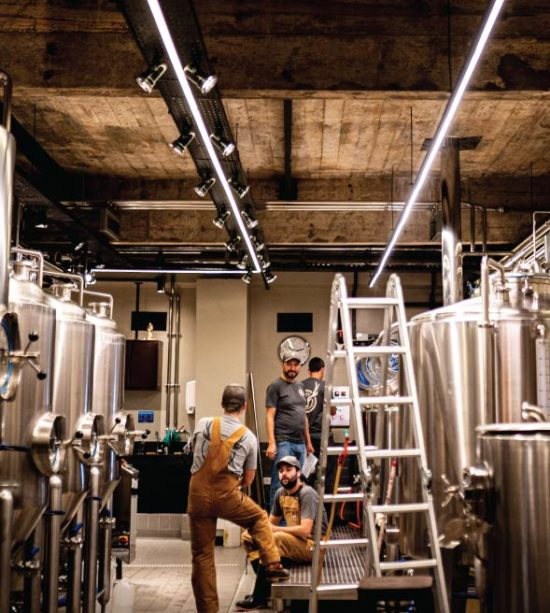 Cervejaria - produção