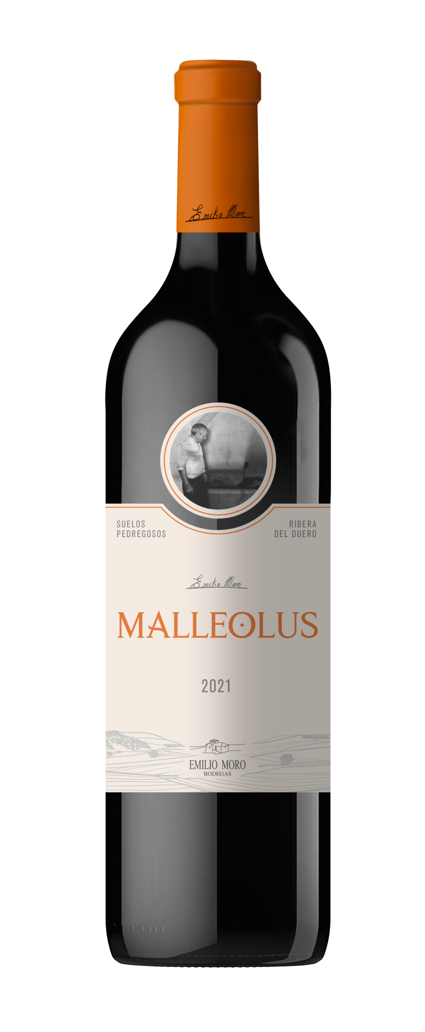 Vinho tinto Espanhol Malleolus 2020