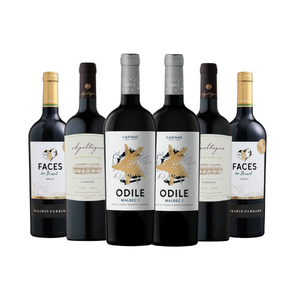 Kit Novo Mundo 6 Garrafas