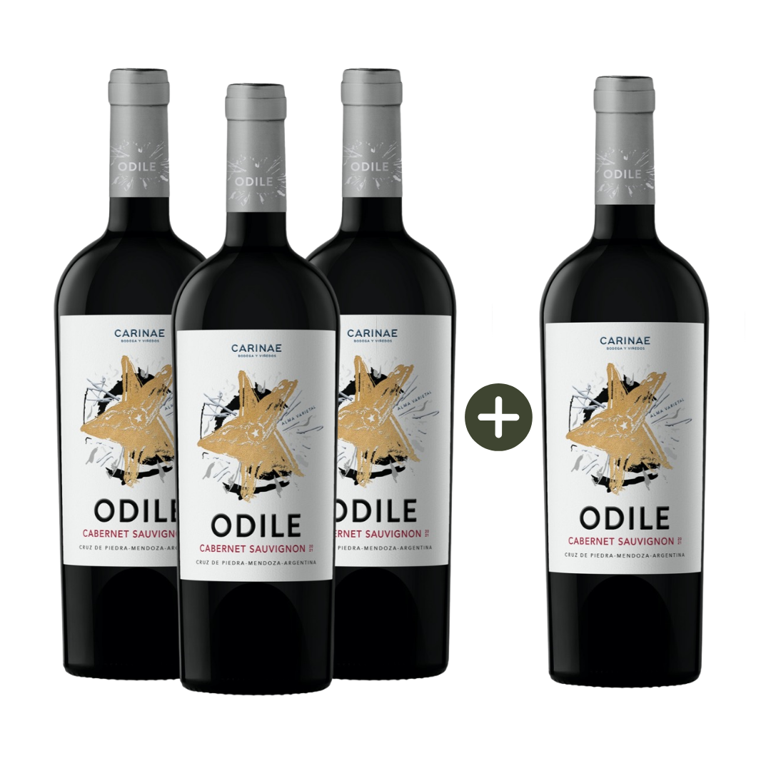 Kit Pague 3 leve 4 Odile Cabernet Sauvignon