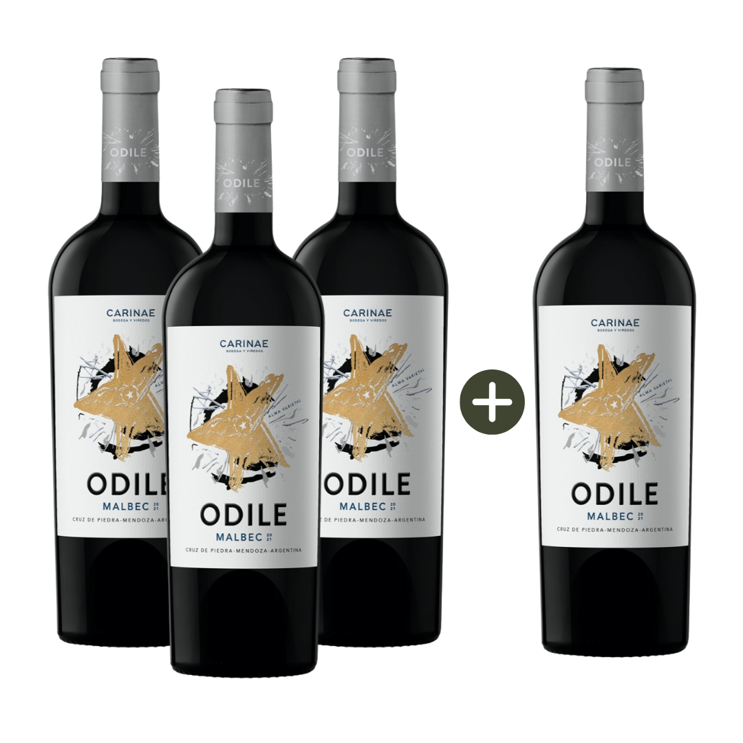 Kit Pague 3 leve 4 Odile Malbec