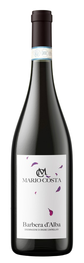 MARIO COSTA BARBERA D\u0027ALBA DOC 