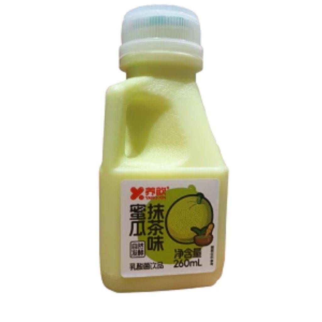 BEBIDA LACTEA PROBIOTICA MELÃO E MATCHA