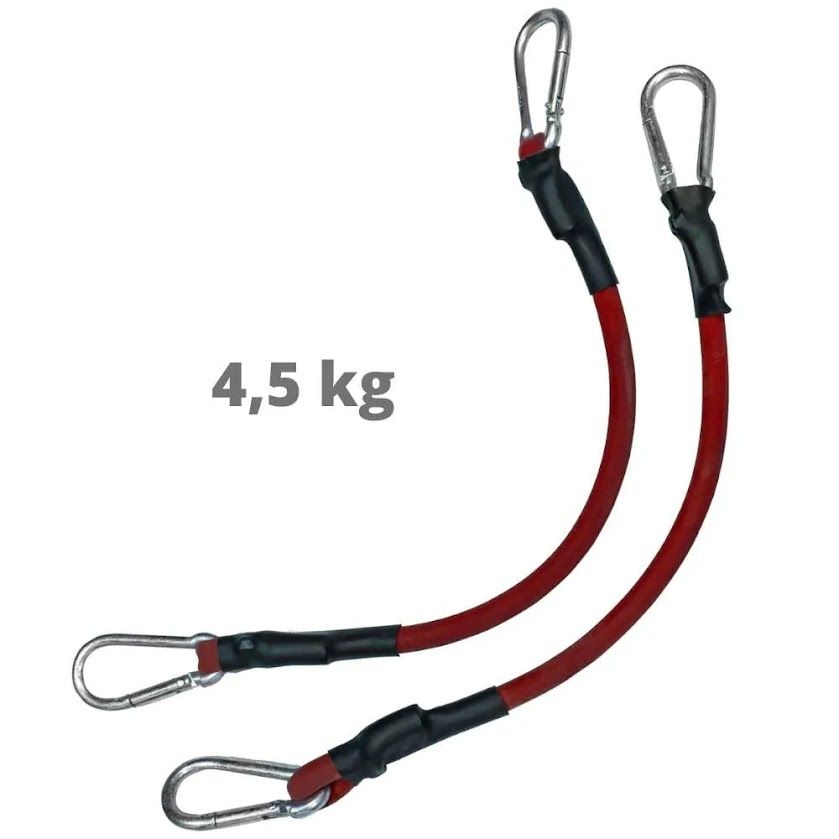 Par de Elásticos tensores para membros superiores 4,5Kg