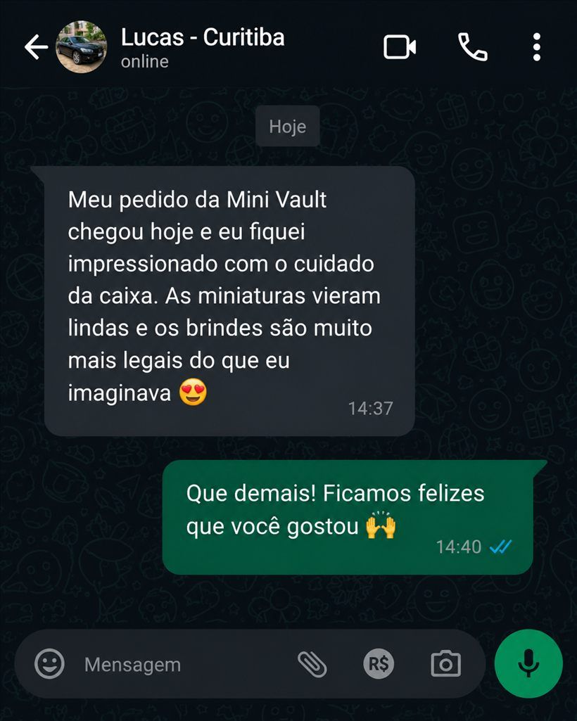 Print de conversa: cliente elogia o cuidado da caixa e a qualidade das miniaturas