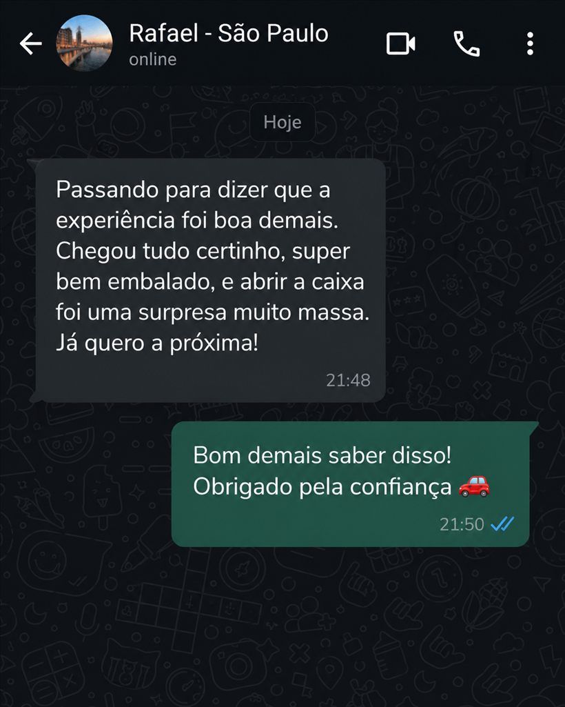 Print de conversa: cliente conta que a box virou expectativa mensal para a coleção