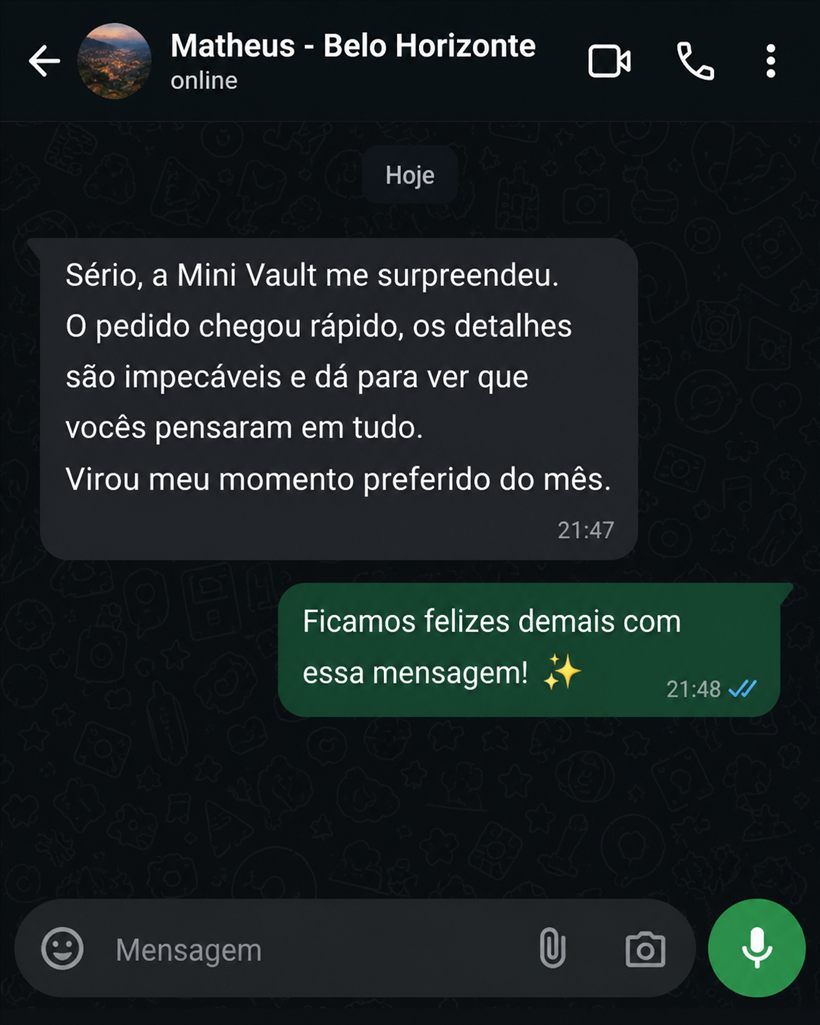Print de conversa: cliente elogia os brindes e a curadoria da box