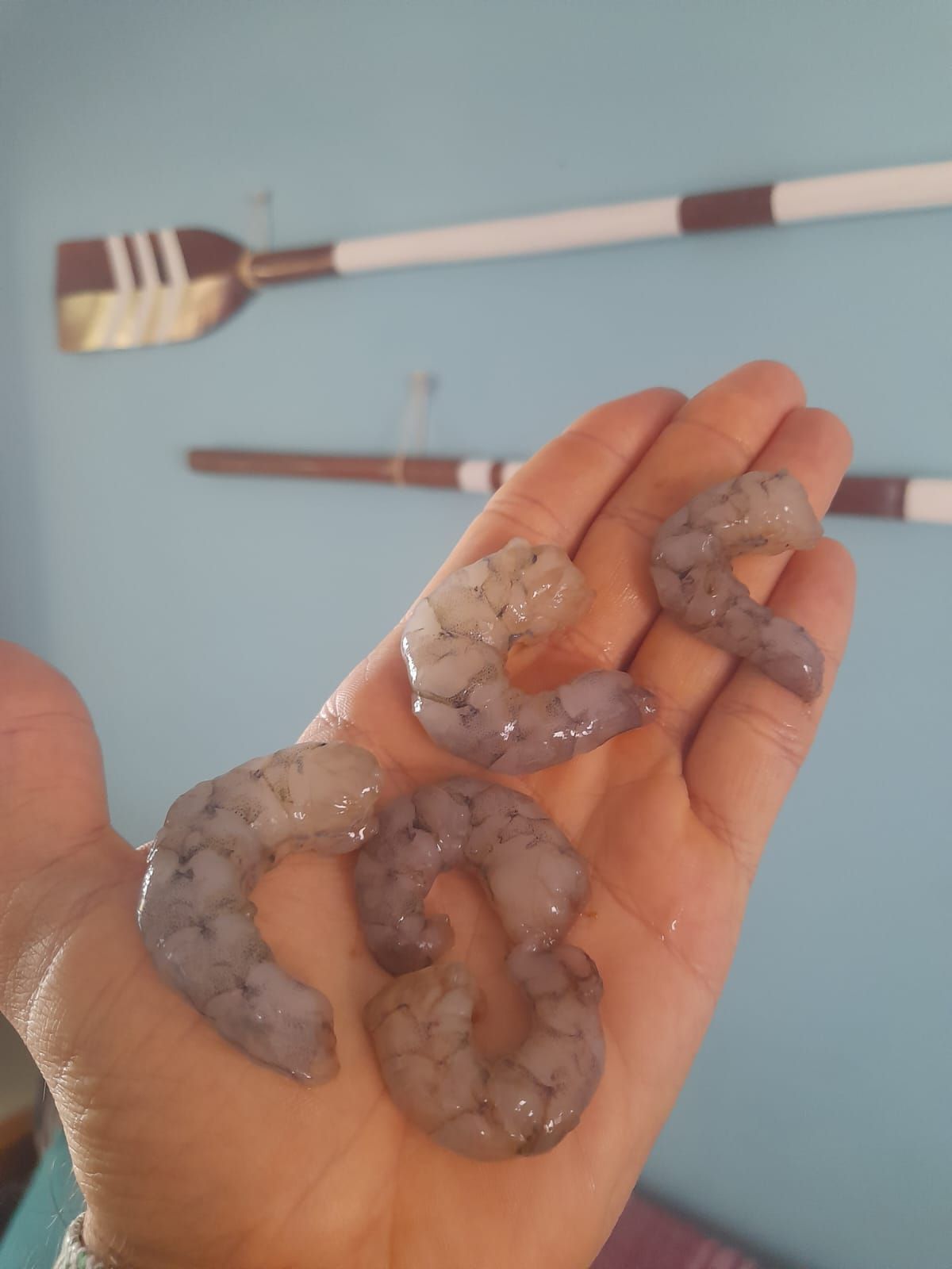 Camarão Rosa da Baía de Paranaguá (500g)