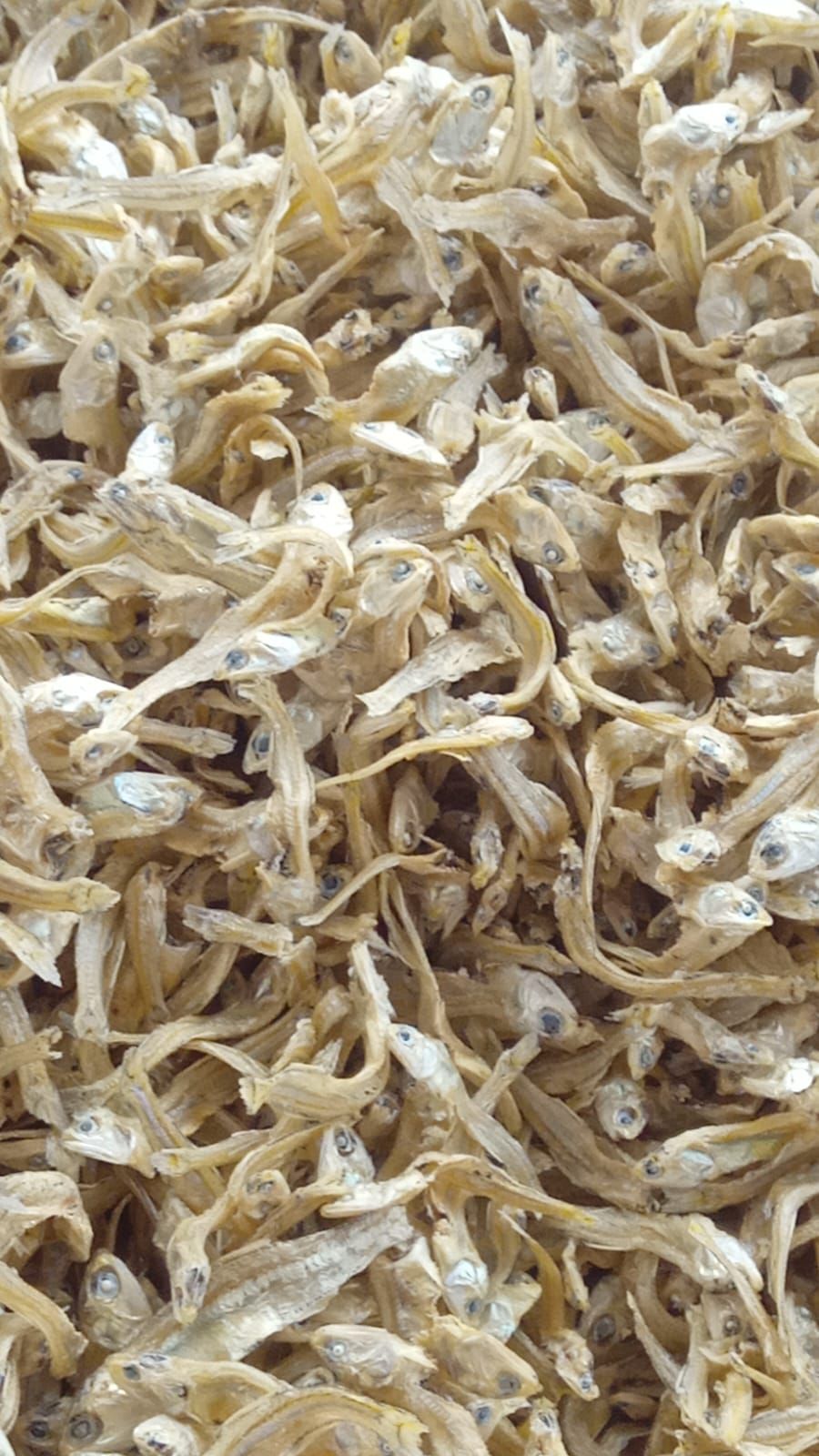 Iriko nº 2 - Manjuba Desidratada (100g)