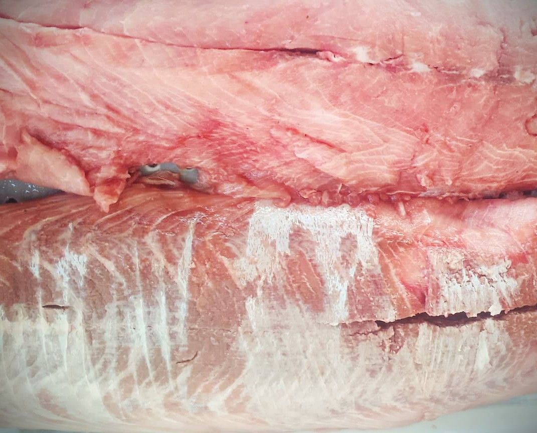 Filé de bijupirá (500g)