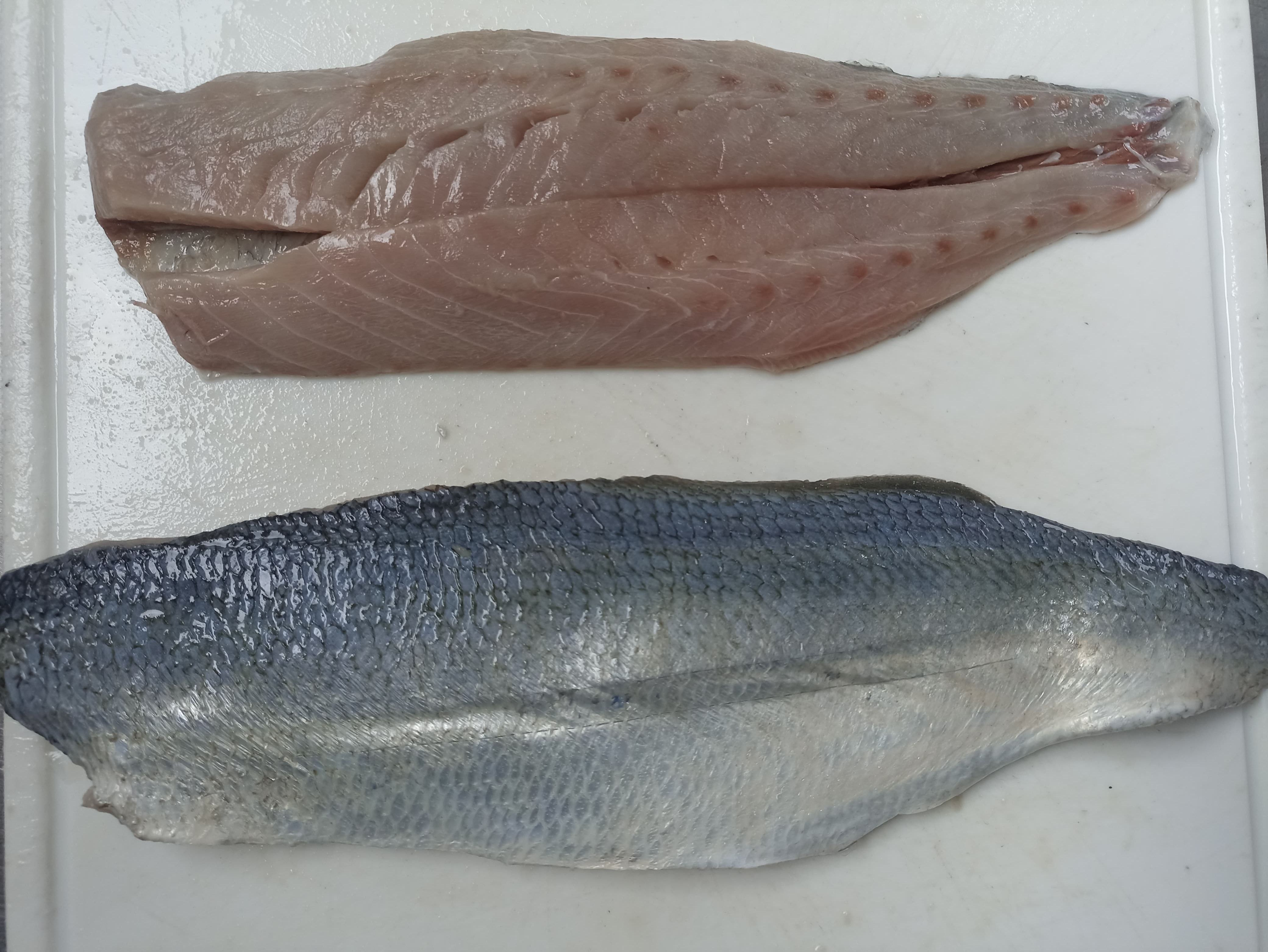 Filé de anchova (500g)