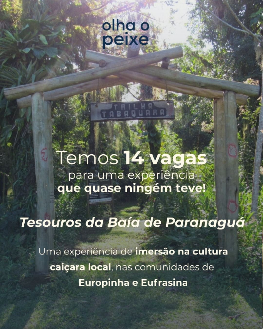 Visita Guiada - Tesouros da Baía de Paranaguá