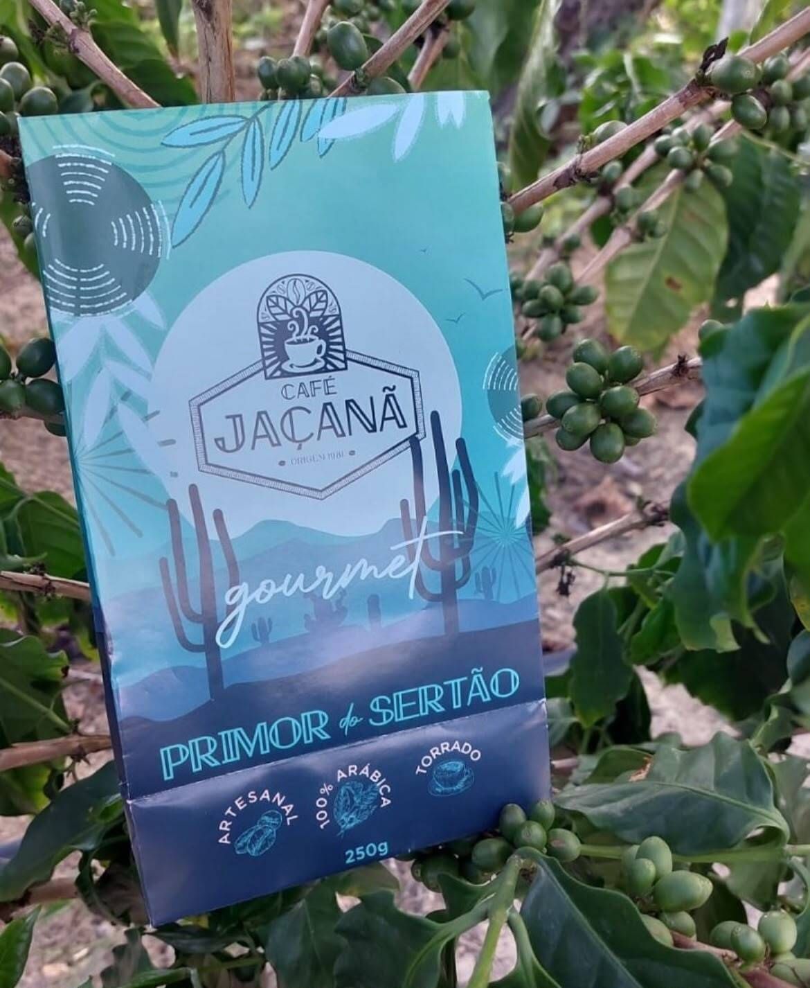 Primor + Sertão