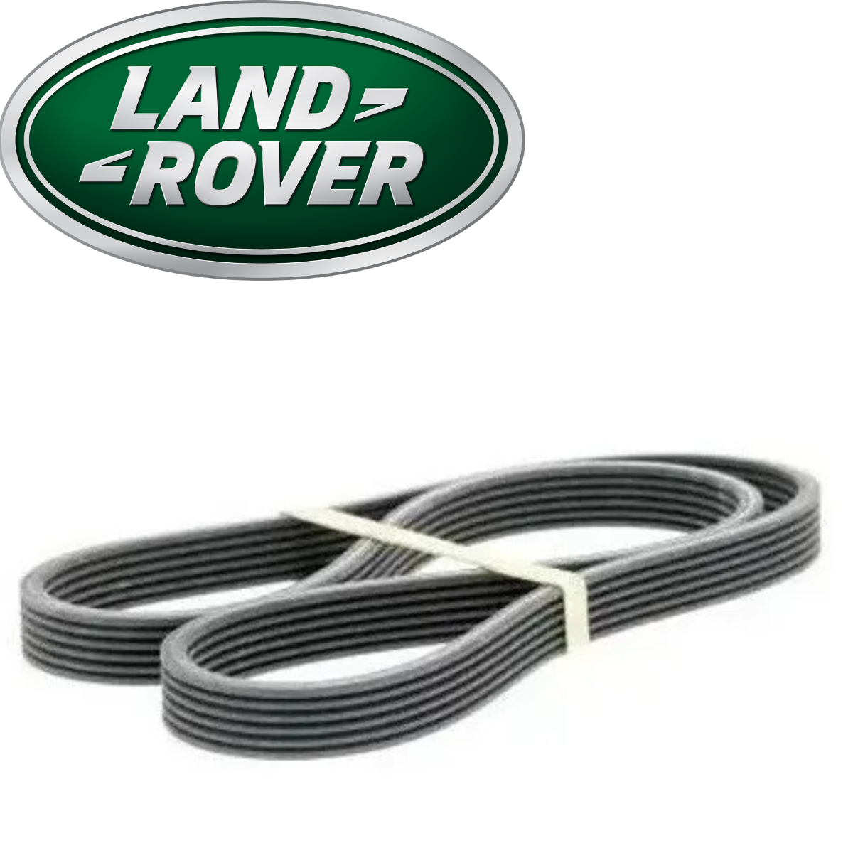 6pkk218 Correia Poly V Land Rover Range Rover Evoque 2.0 16v