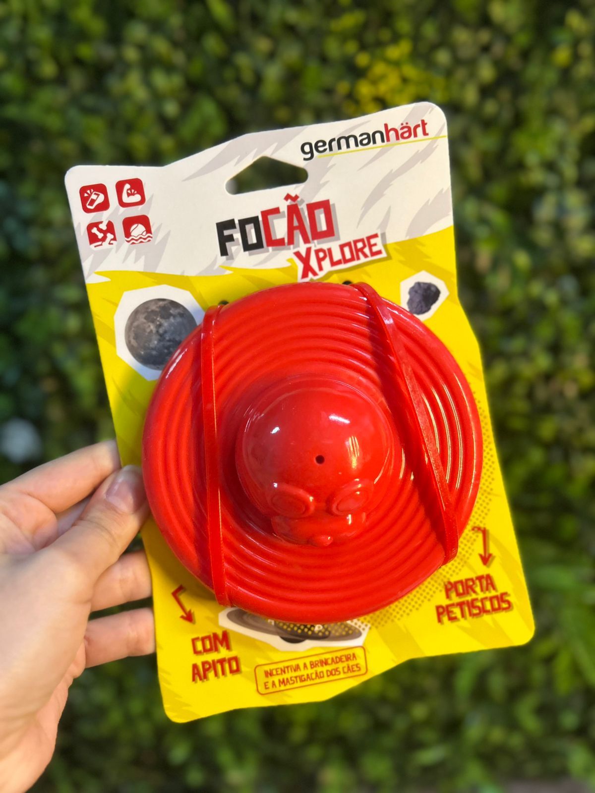 Brinquedo Focão Xplore Germanhart