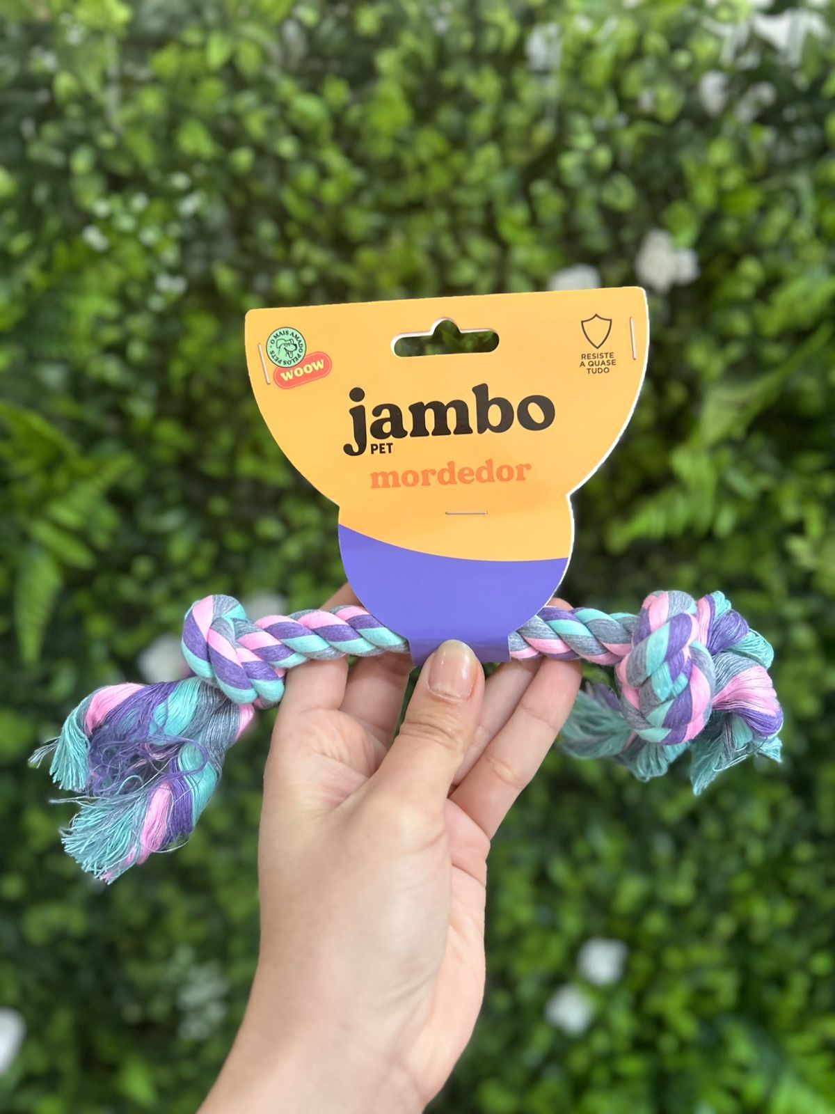 Corda Mordedor Dental Bone Pequeno Pastel Jambo Pet