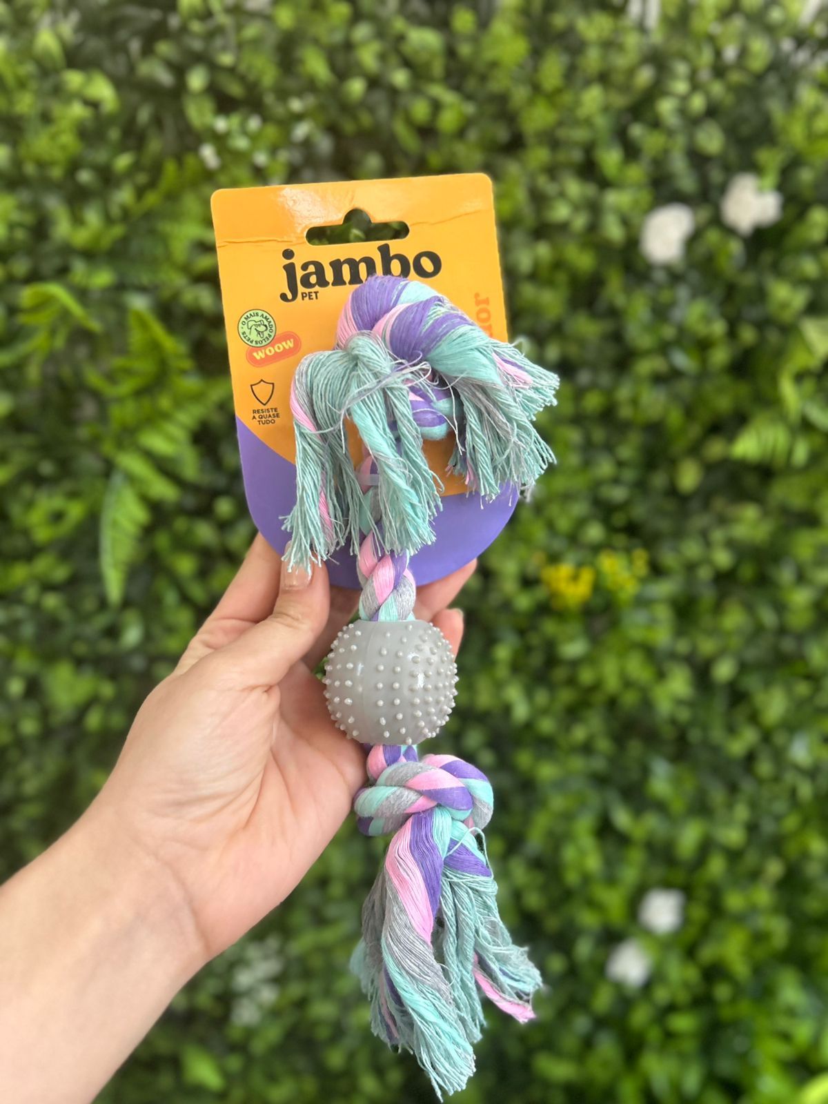 Corda Dental Plastic Bola Pastel Jambo Pet