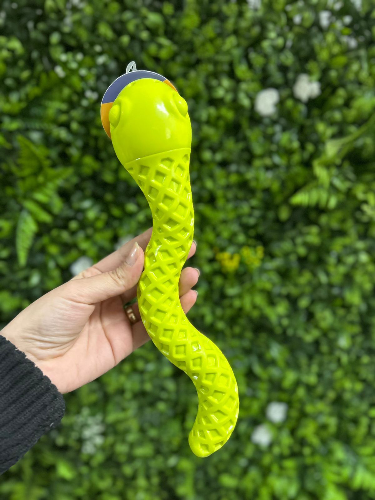 Mordedor Cobra TPR Pequena Verde Jambo Pet