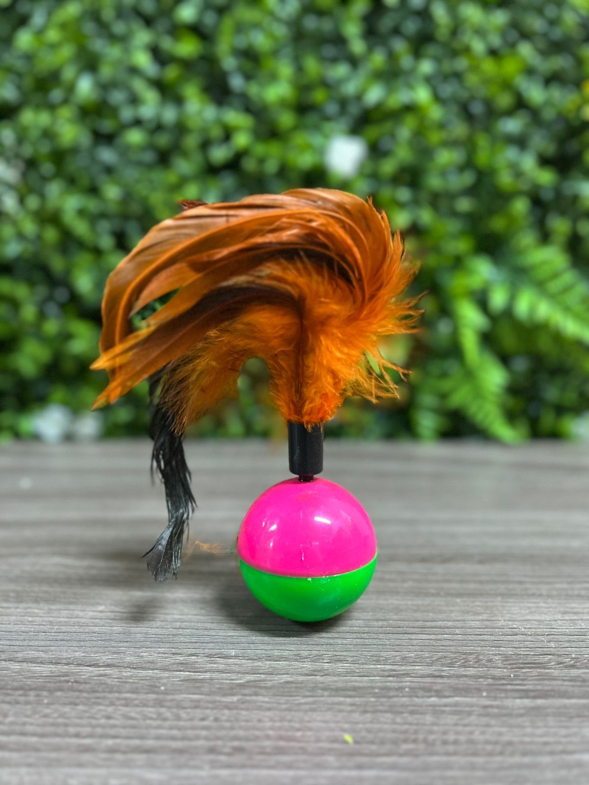 Bola Pena Dobo Pet
