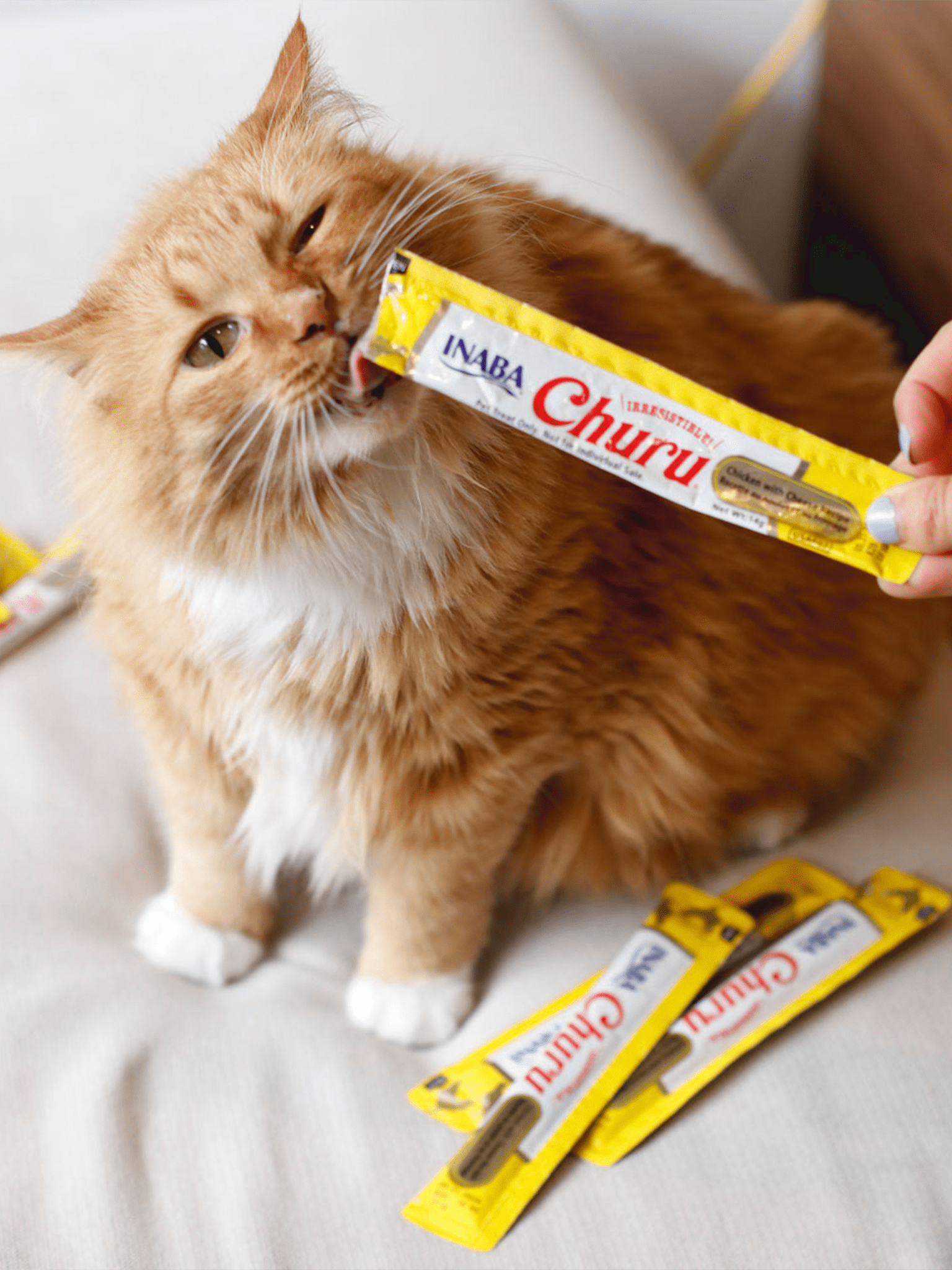Churu para Gatos Galinha com Queijo
