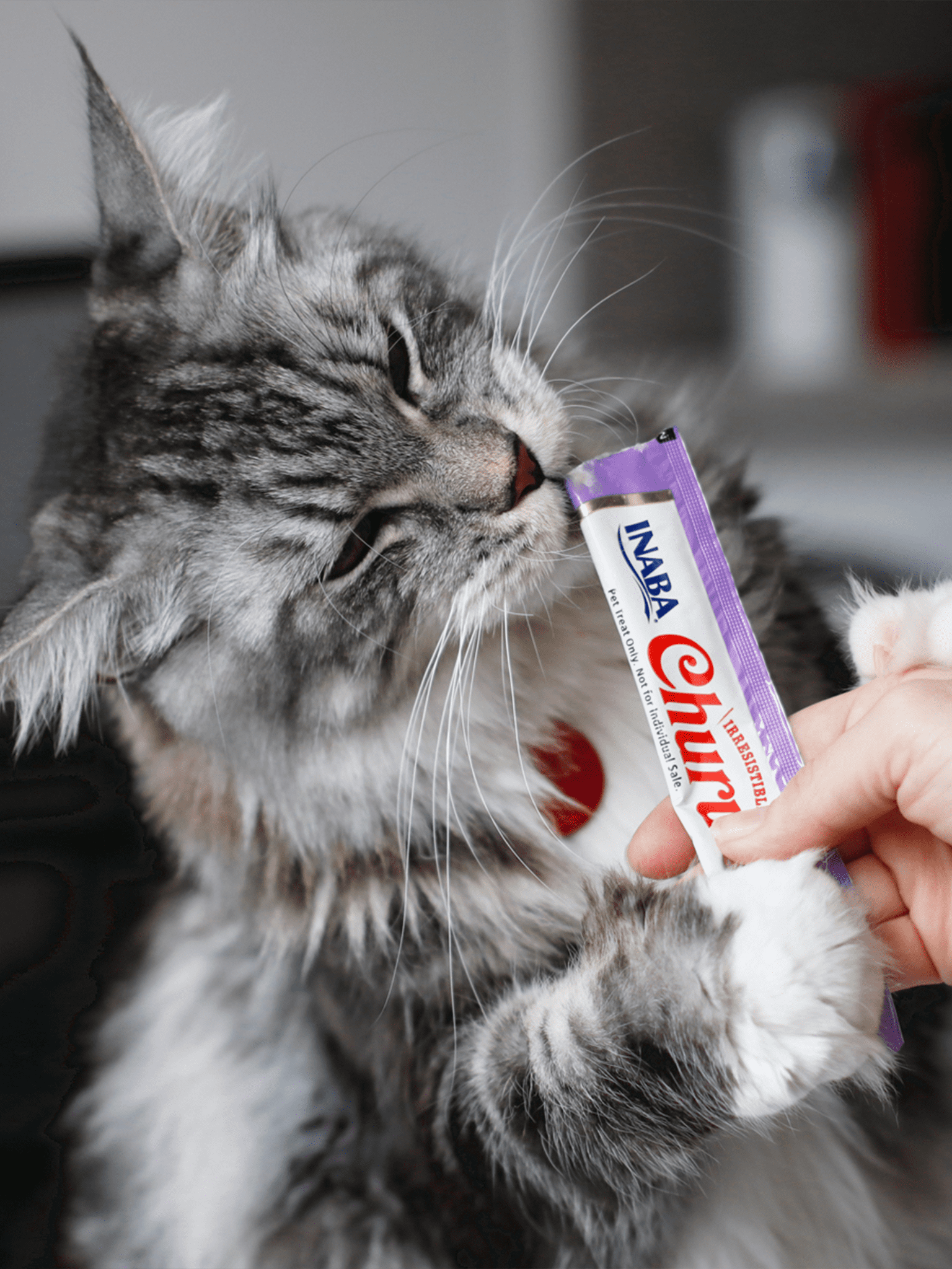 Churu para Gatos Frango com aroma de Camarão
