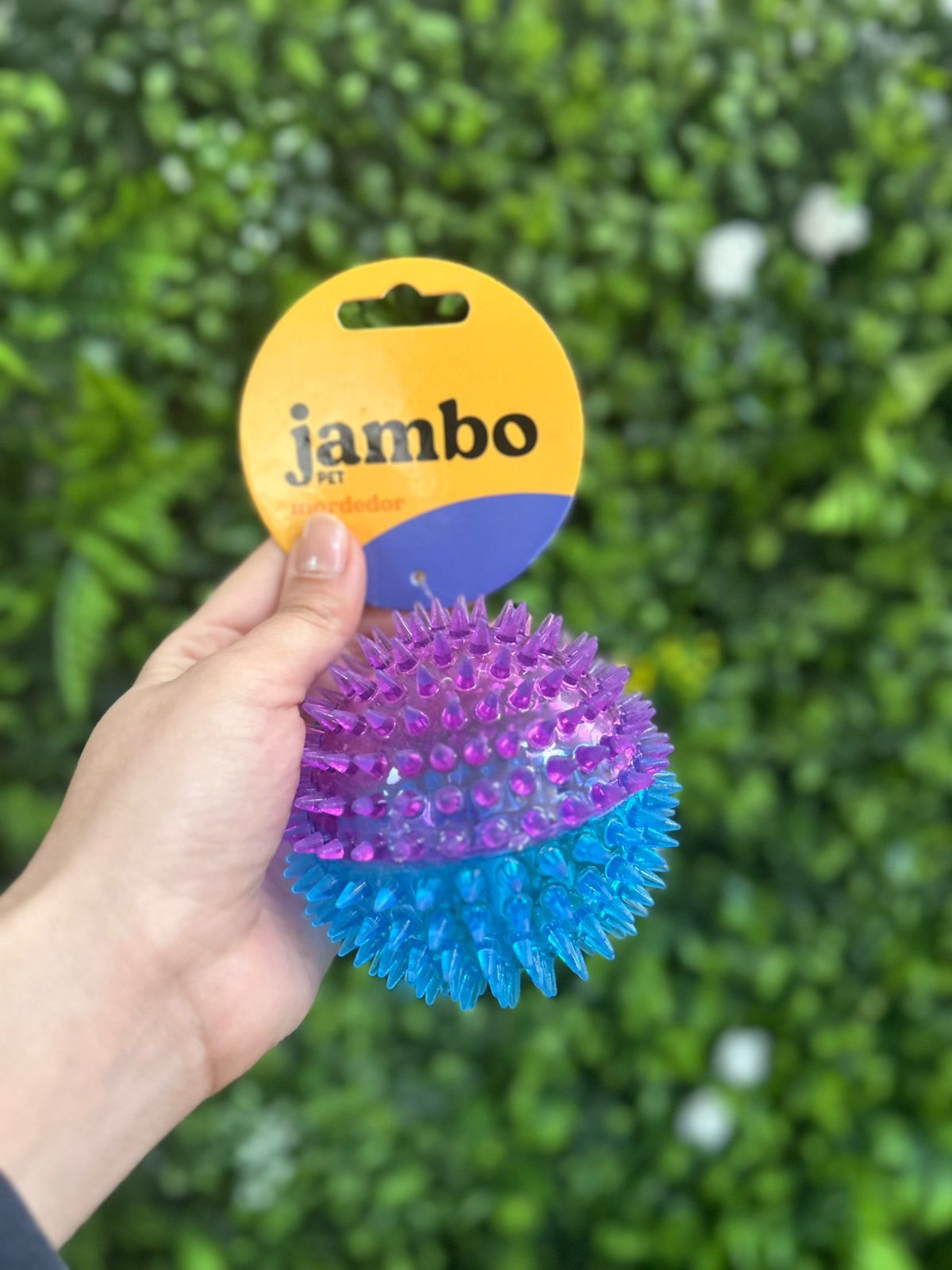 Bola Espinho Dual Color Grande Jambo Pet