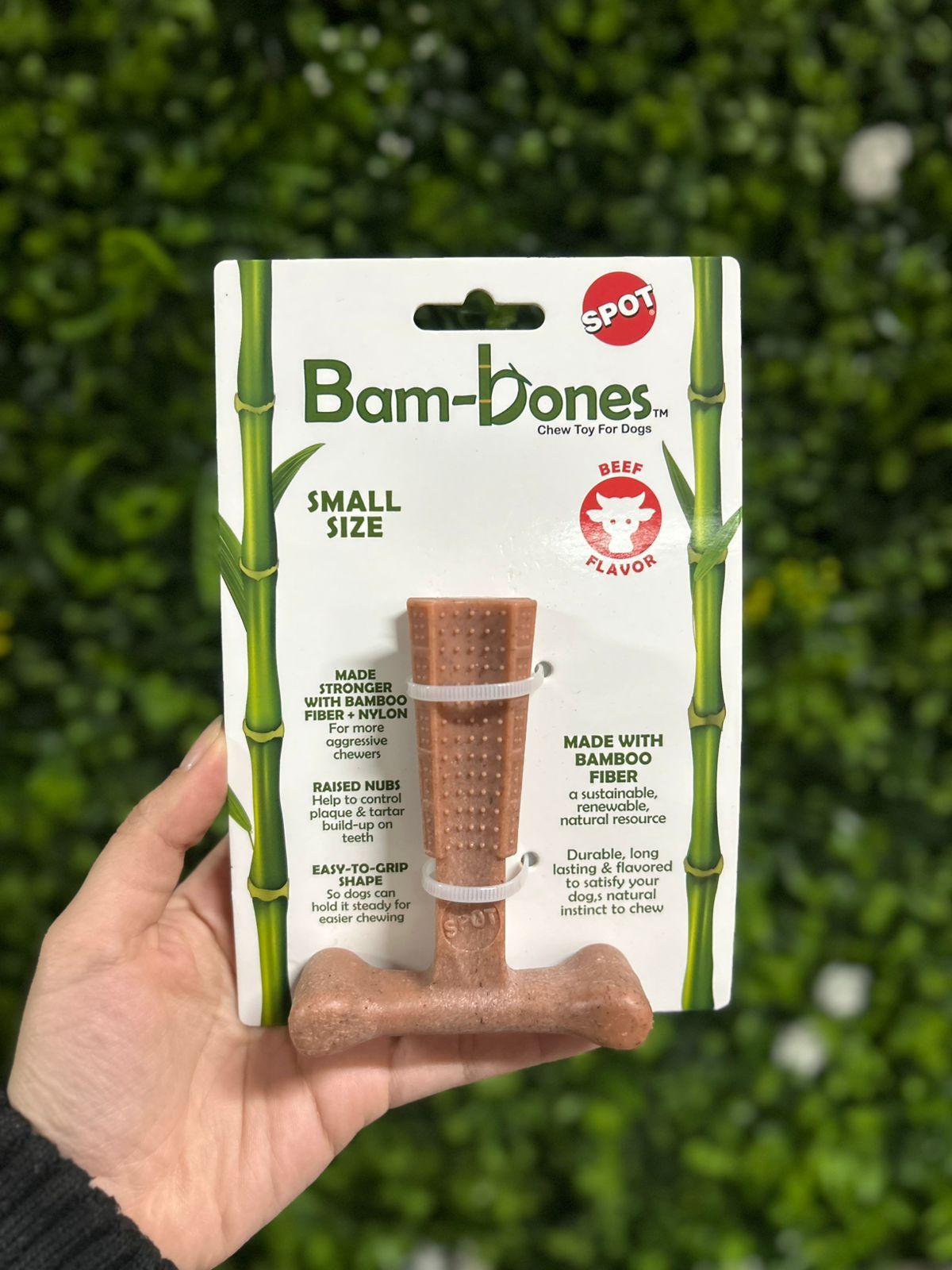 Mordedor T BambooBone Carne Pequeno Jambo Pet