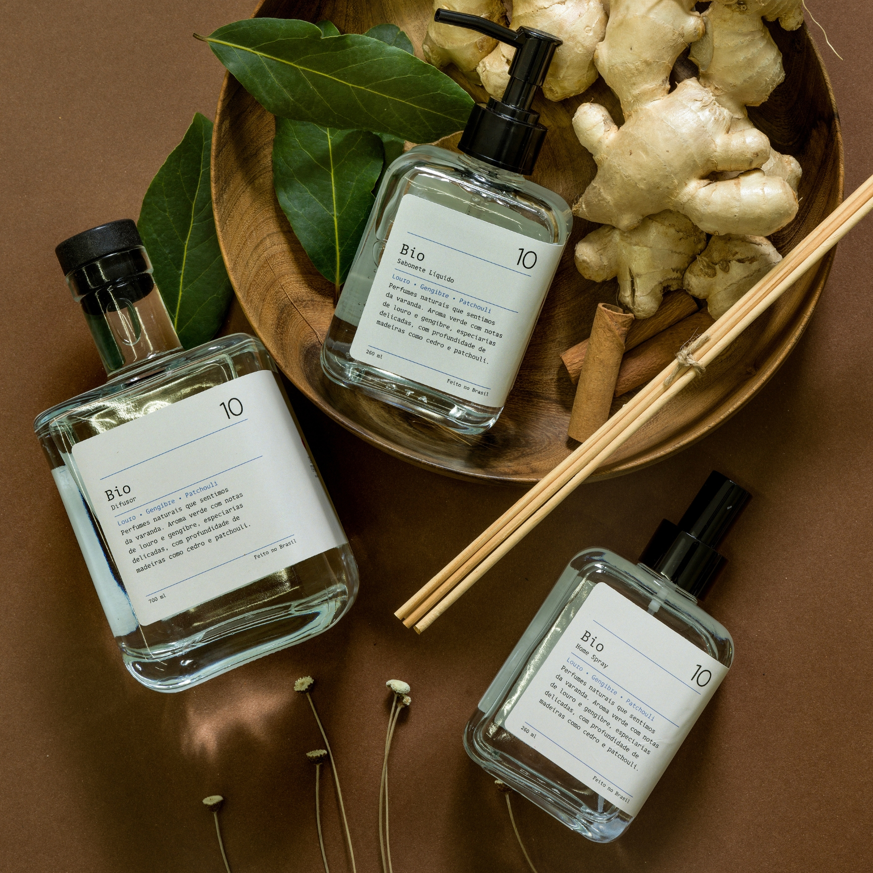kit bio