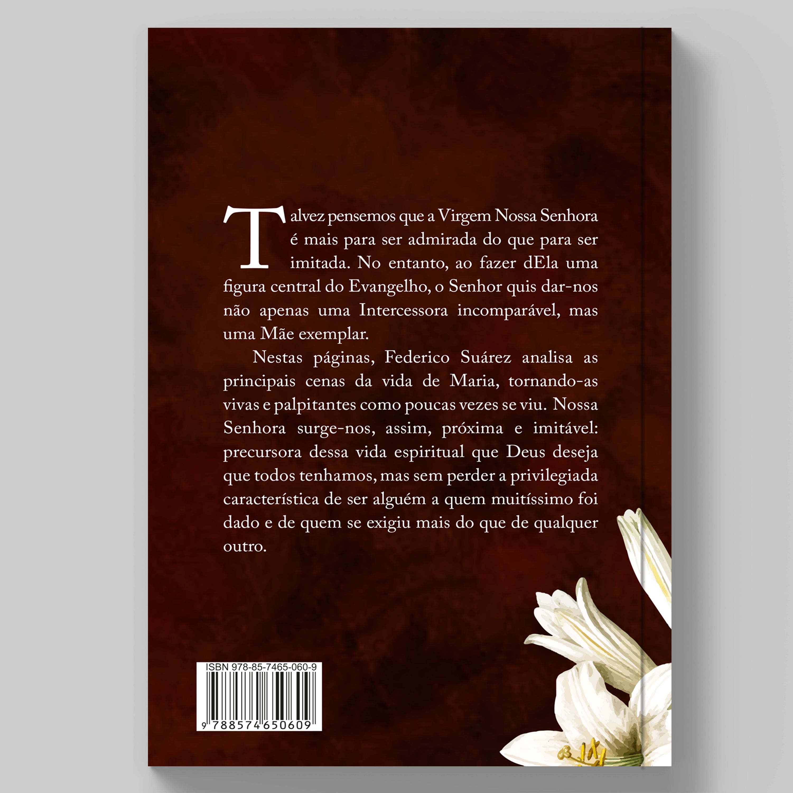 Livro A Virgem Nossa Senhora