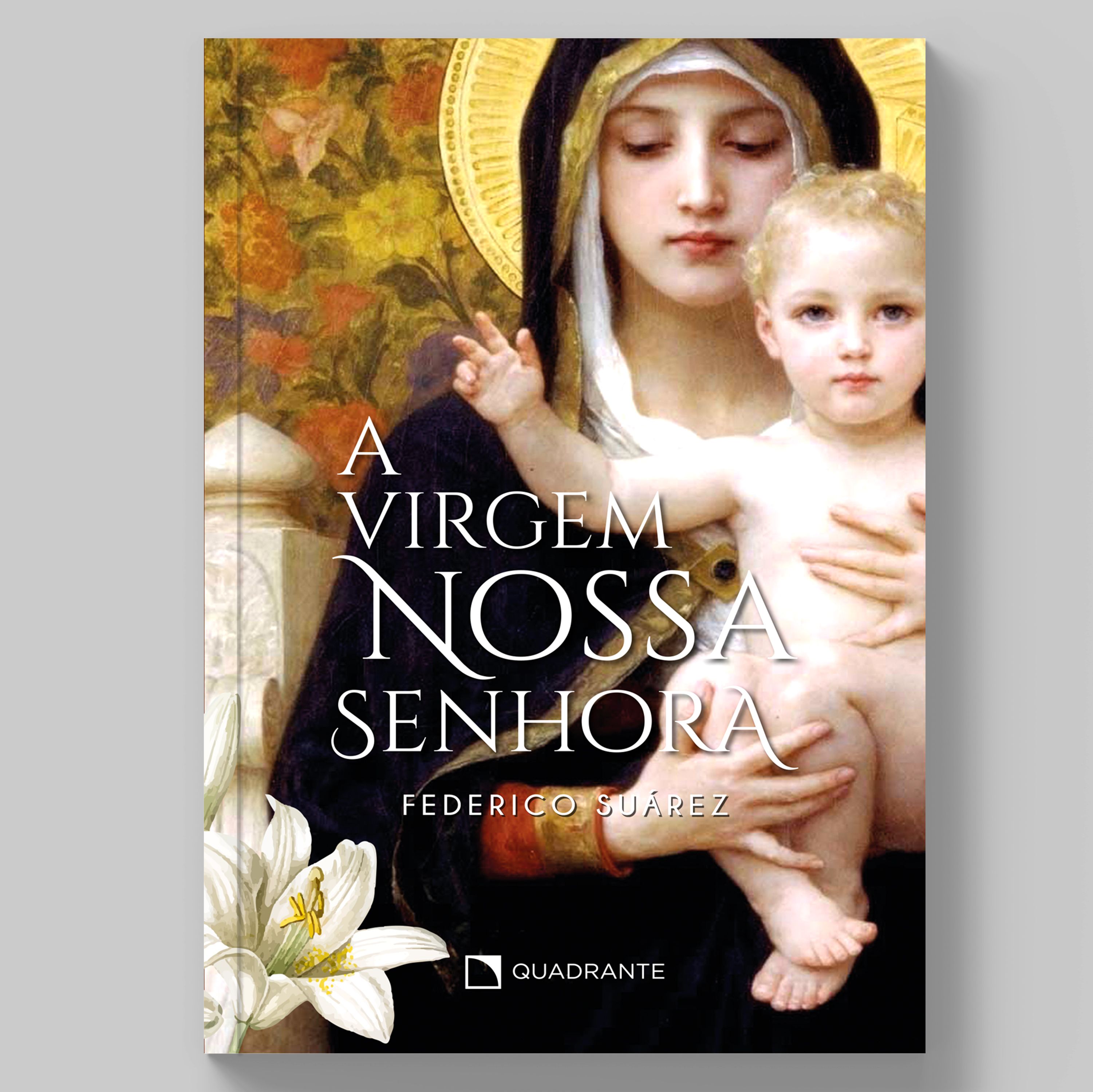 Livro A Virgem Nossa Senhora