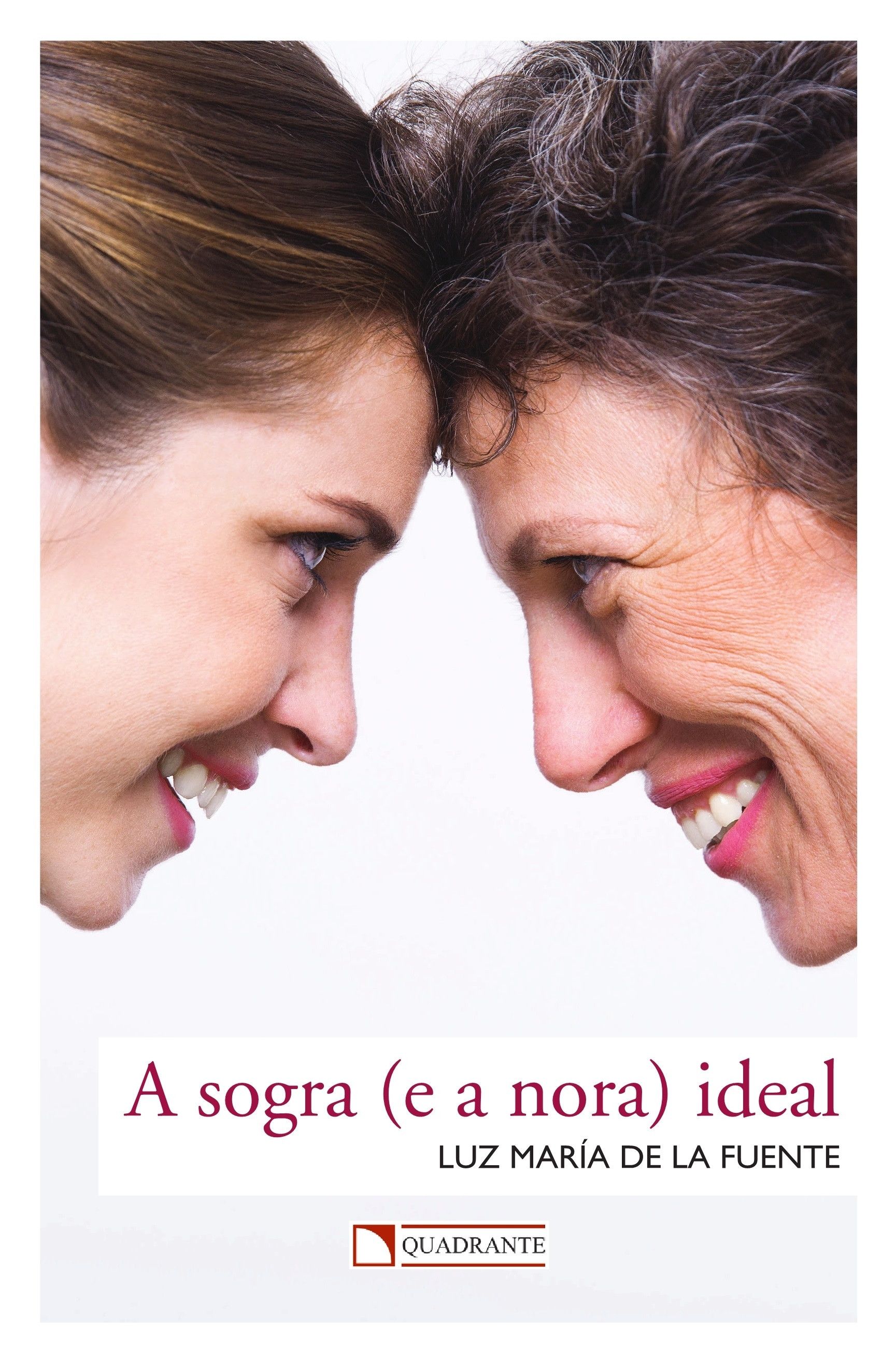 Livro A Sogra (e a nora) ideal