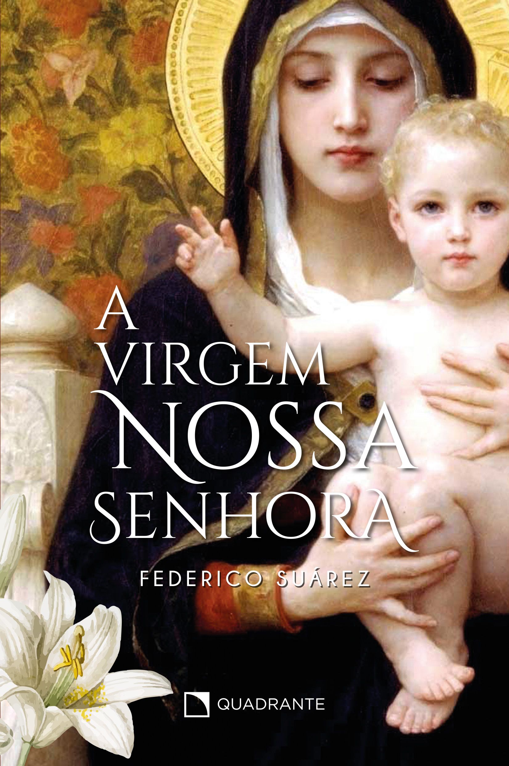 Livro A Virgem Nossa Senhora