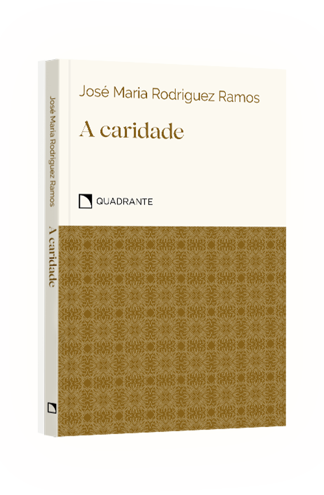 Pocket A caridade: Compreender, amar, perdoar — Coleção Virtudes