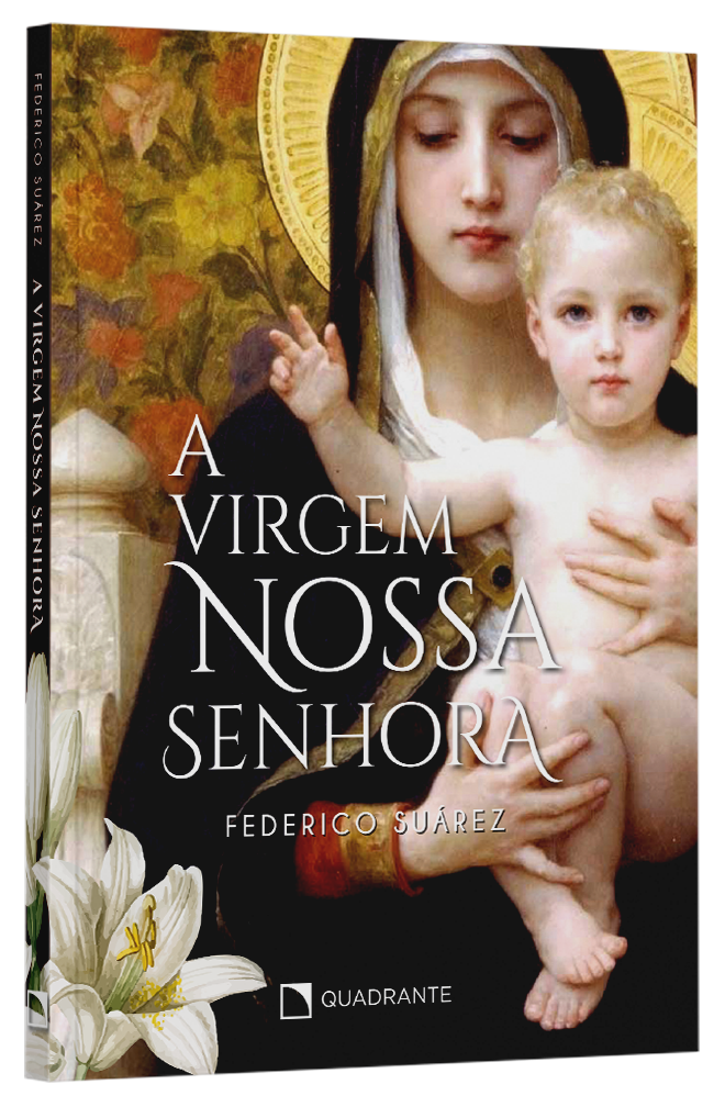 Livro A Virgem Nossa Senhora