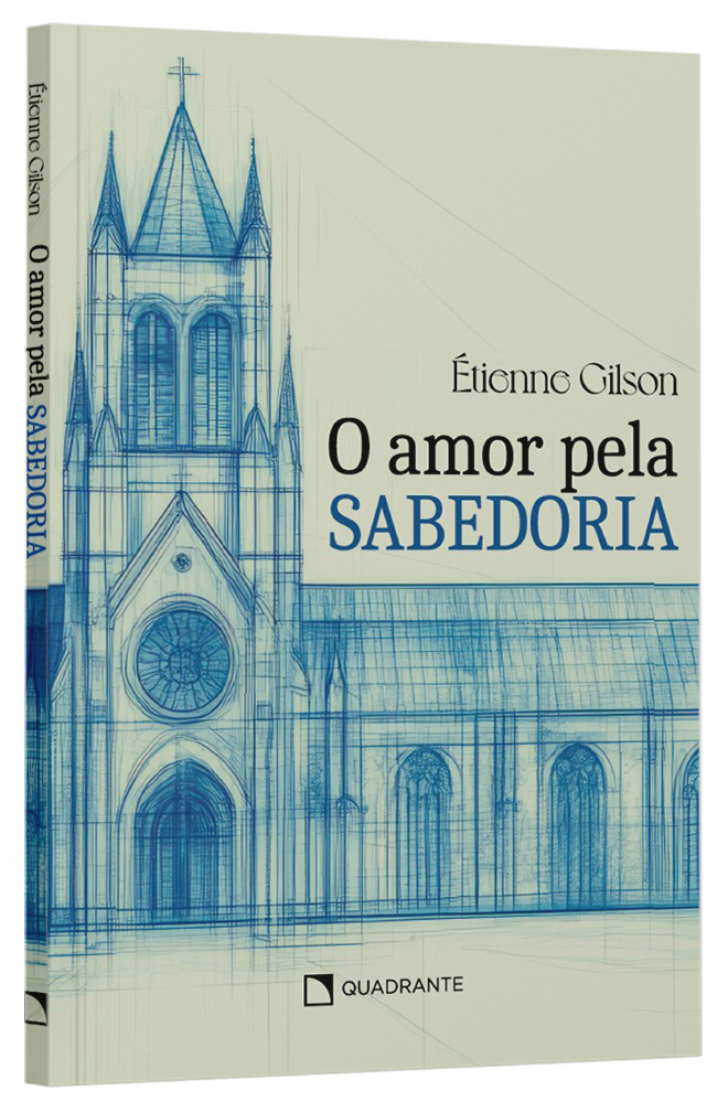 Livro O amor pela sabedoria - Brochura
