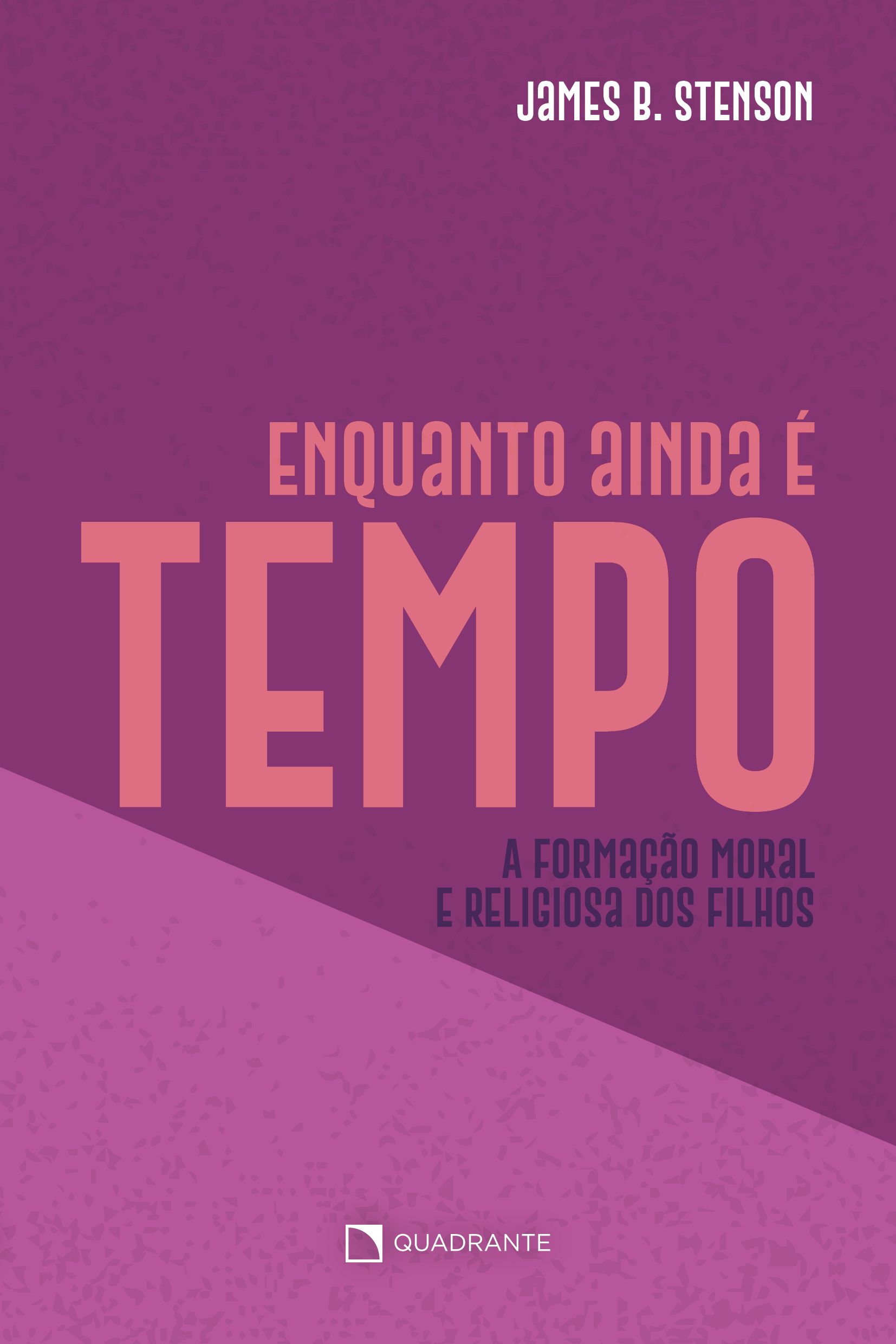 Livro Enquanto ainda é tempo...: A formação moral e religiosa dos filhos
